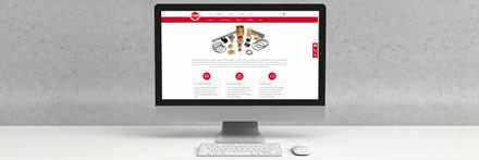 THN-website showcase