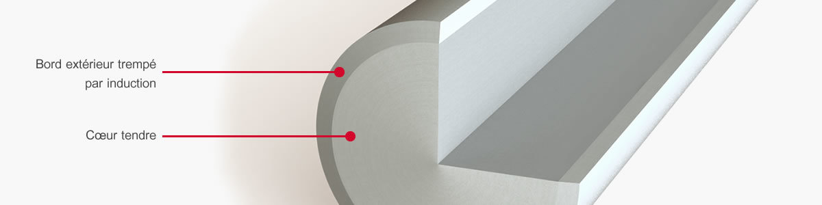 THN section arbre plein TS